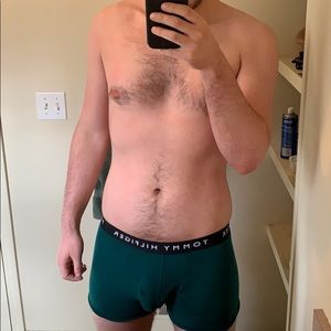 Tommy Hilfiger Briefs in Green
